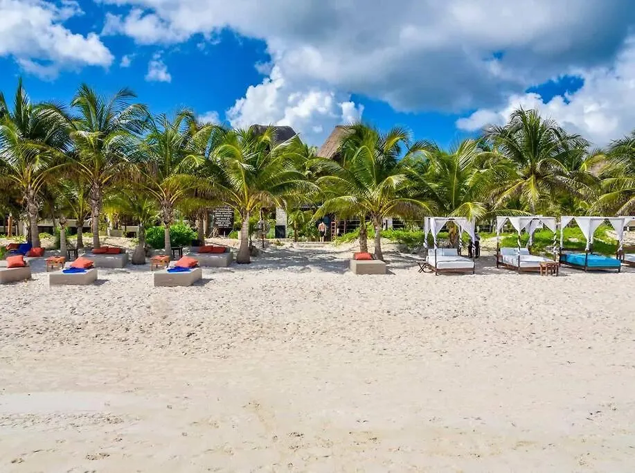 Luxury Villa, Beach Club - Jungle View - Sahara Bleu Tulum 0*,  Mexico
