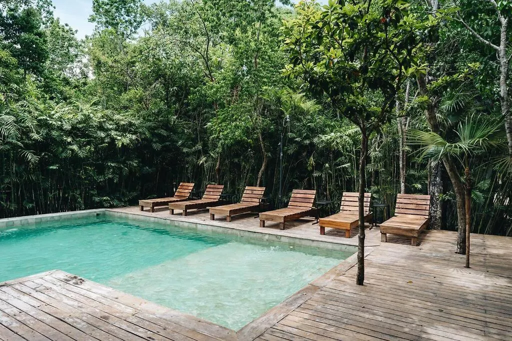 Luxury Villa, Beach Club - Jungle View - Sahara Bleu location